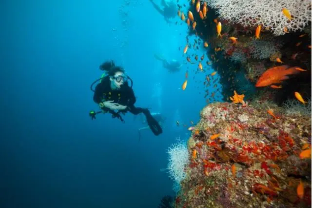 diving at ja manafaru maldives